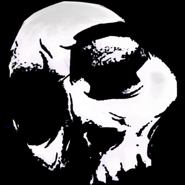 Velvet Skull