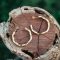 Gold Hoop earrings styled on a wood stump